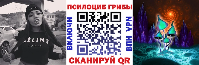 KRAKEN   хочу наркоту  Железногорск-Илимский  Псилоцибиновые грибы прущие грибы 
